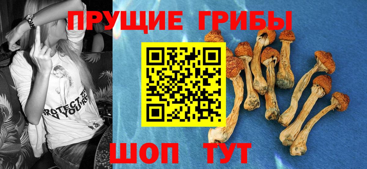 Лесной  Галлюциногенные грибы GOLDEN TEACHER  Вход с VPN  Галлюциногенные грибы ЛСД 