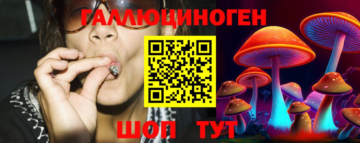 Псилоцибиновые грибы мухоморы Лесной